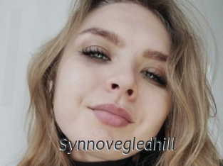 Synnovegledhill