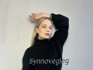 Synnovegleg