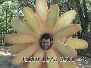 TEDDY_BEAR_SEXY