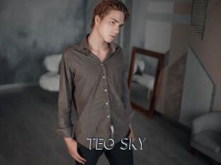 TEO_SKY