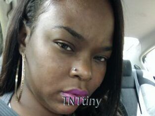 T_N_Ttiny