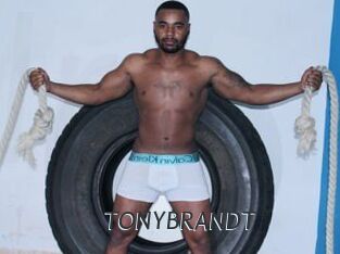 TONYBRANDT