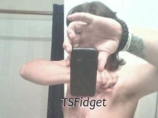 TSFidget