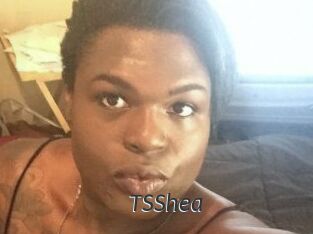 TS_Shea