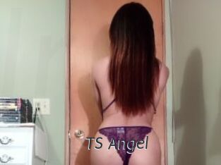 TS_Angel