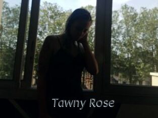 Tawny_Rose