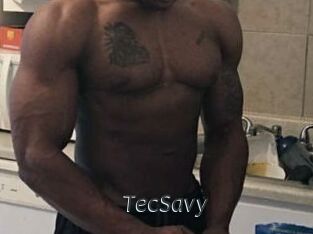 TecSavy