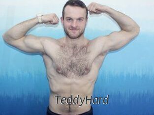 TeddyHard Ligne Rose