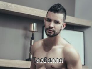 TeoBanner