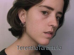 TerentilaTarantula