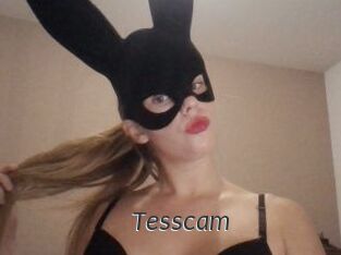Tesscam