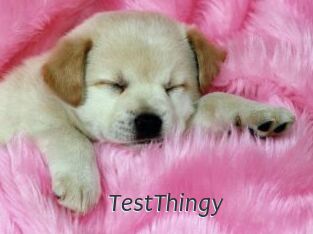 TestThingy