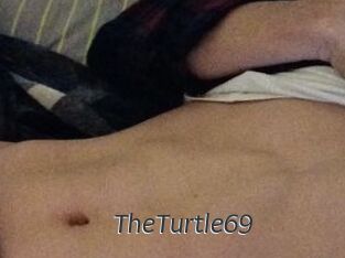 TheTurtle69