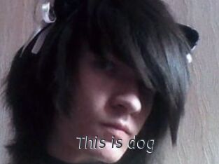 This_is_dog