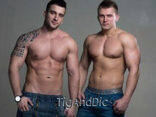 TigAndDic