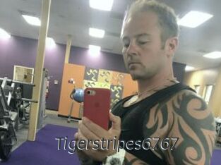 Tigerstripes6767