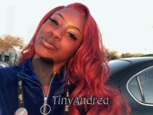 TinyAndrea