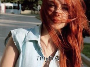 TinyFox