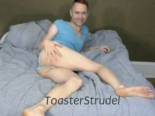 ToasterStrudel