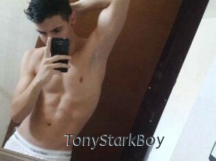 TonyStarkBoy