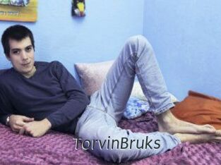 TorvinBruks