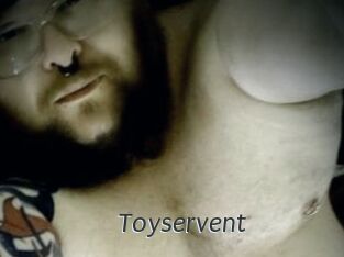 Toyservent