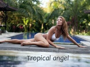 Tropical_angel Ligne Rose