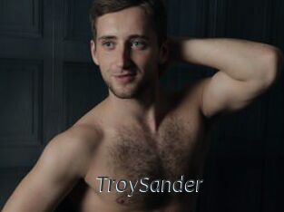 TroySander