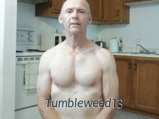 Tumbleweed13