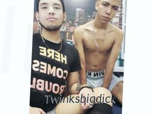 Twinksbigdick