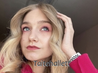 Taitehallett