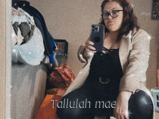 Tallulah_mae