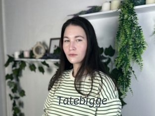 Tatebigge