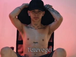Tatevogel