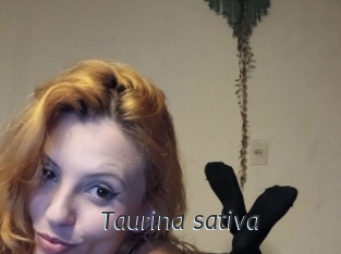 Taurina_sativa
