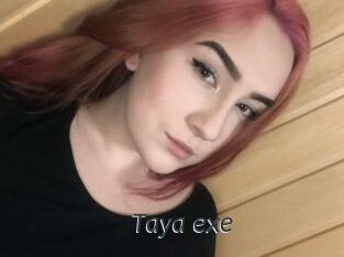 Taya_exe