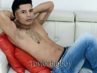 Taylorbigboy