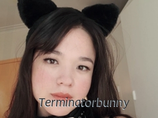 Terminatorbunny