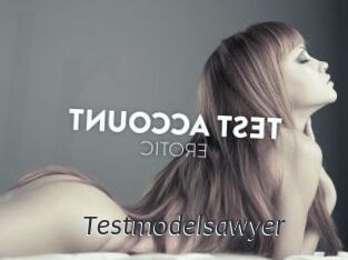 Testmodelsawyer