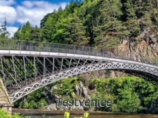 Testvenice