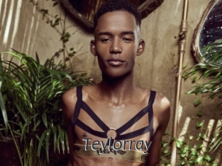 Teylorray