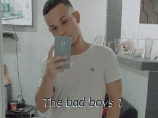 The_bad_boys_1