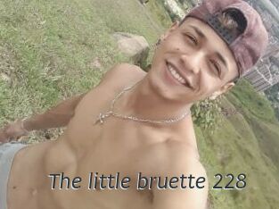 The_little_bruette_228