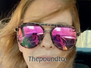 Thepoundtoy