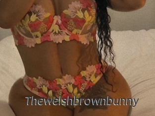 Thewelshbrownbunny