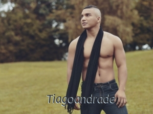 tiagoandrade Ligne Rose