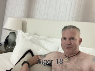 Tiger_18
