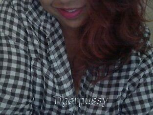 Tigerpussy