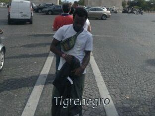 Tigrenegro