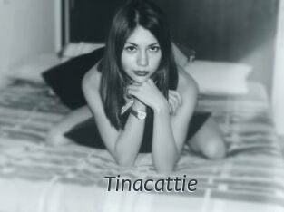 Tinacattie